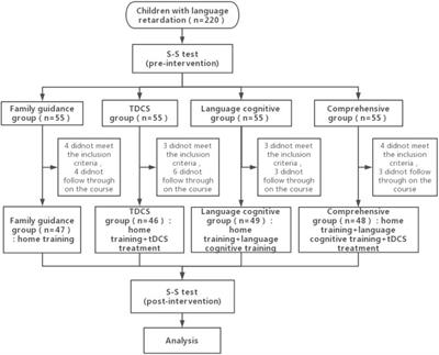 Transcranial direct current stimulation combined with language-cognitive training improves language and cognitive ability in children with language delay